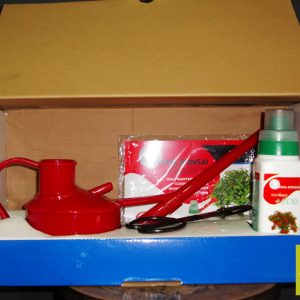 Kit Mantenimiento