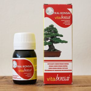 Vitabonsái