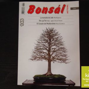 Bonsái Actual