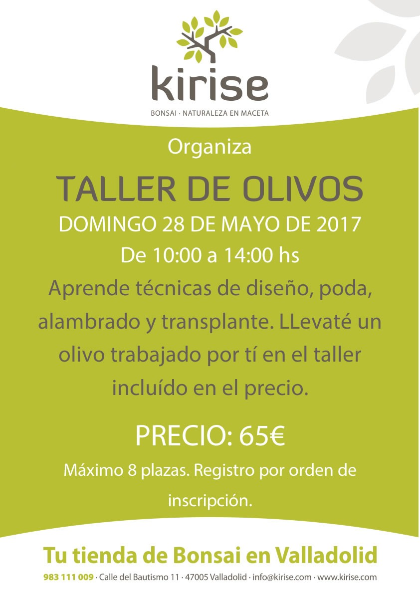 Taller de Olivos