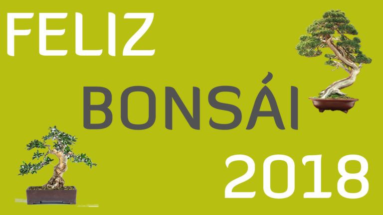 Feliz 2018