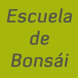 Escuela de bonsai