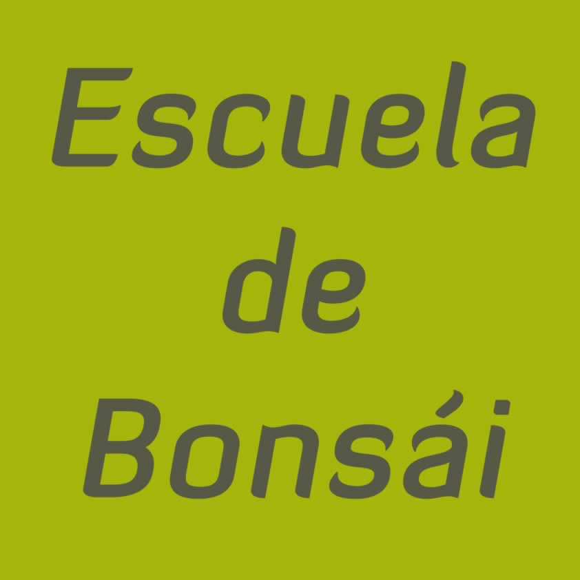 Escuela de bonsai