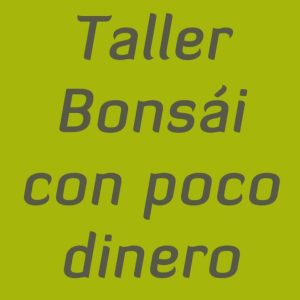 Taller Bonsai con poco dinero