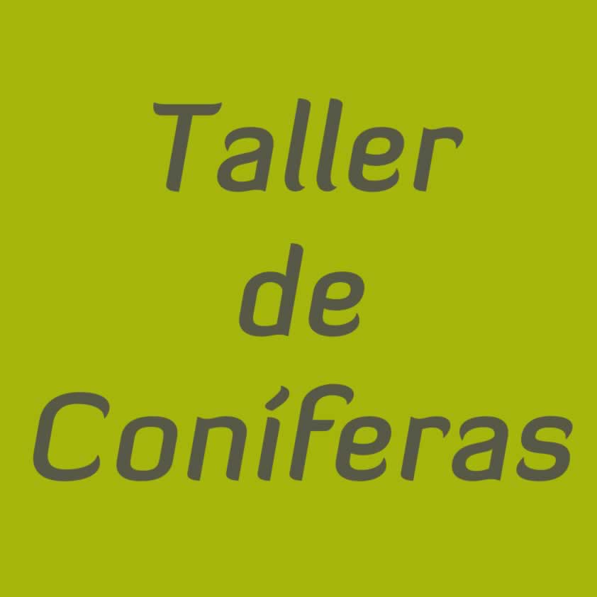 Taller de Coníferas