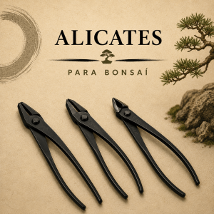 Alicates