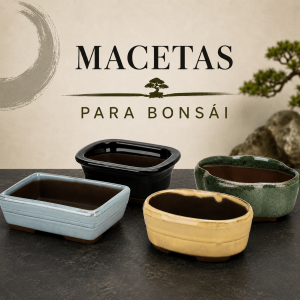 Macetas para bonsái