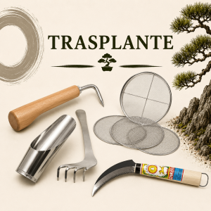 Trasplante
