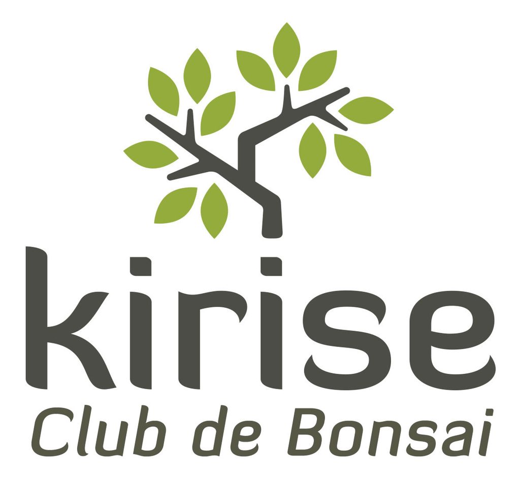 Club de Bonsái Kirise